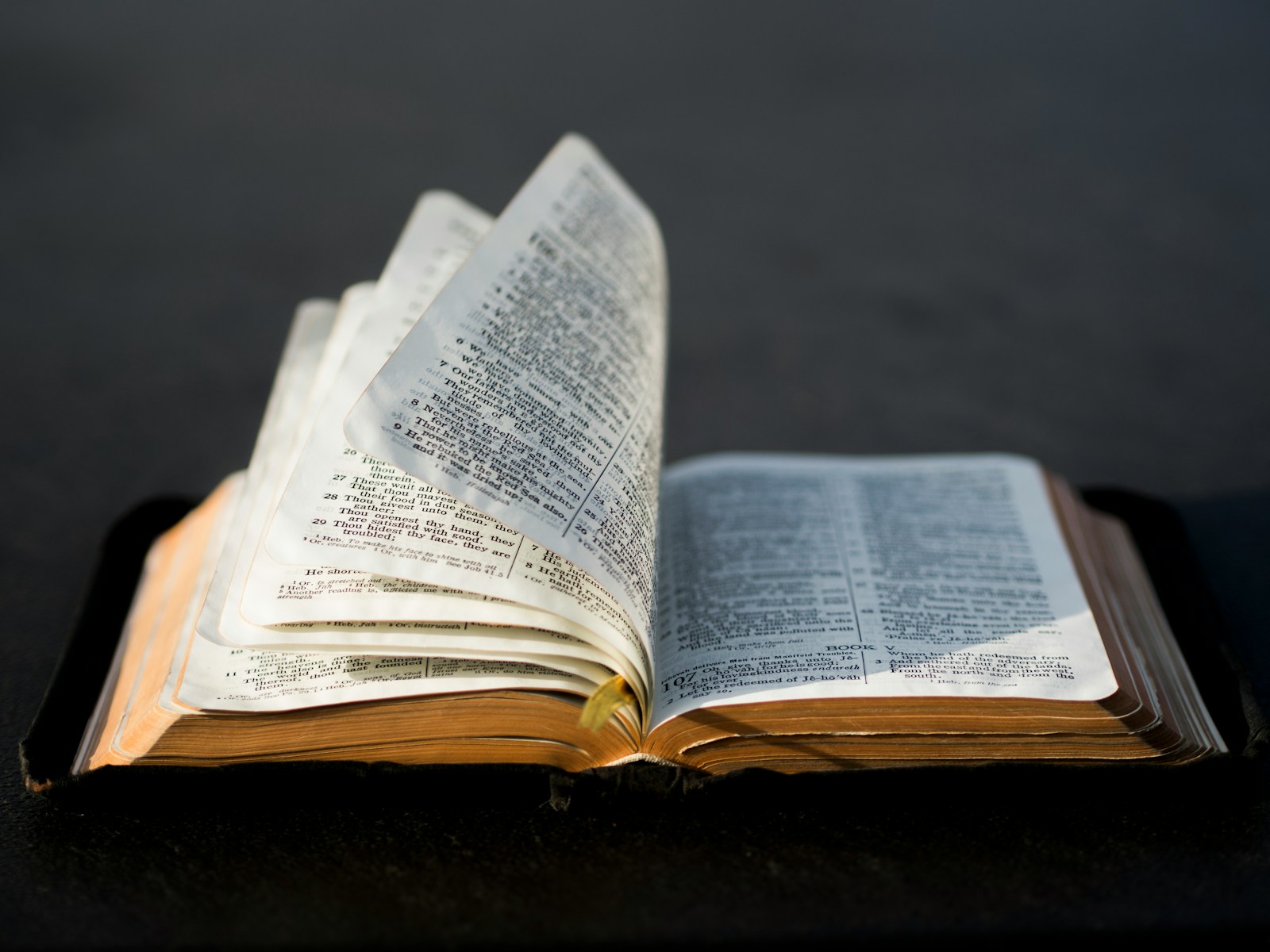 Doctrina de la Palabra